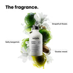 LOREAL METAL DETOX SHAMPOO 300ML