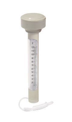 Termometro Piscina Bestway 58072
