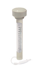 Termometro Piscina Bestway 58072