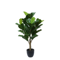 Planta Artificial Homse Hs625066 Fiddle 66cm