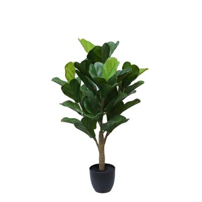 Planta Artificial Homse Hs625066 Fiddle 66cm