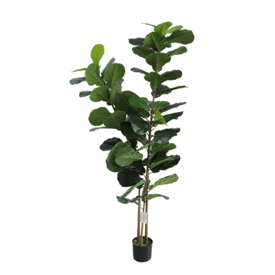 Planta Artificial Homse Hs616195 Fiddle 195cm