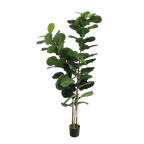 Planta Artificial Homse Hs616195 Fiddle 195cm