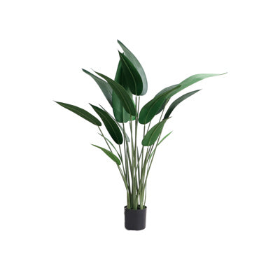 Planta Artificial Homse Hs4805-110-22 Canna 110cm