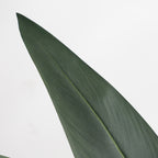 063535_2.jpg