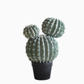 Planta Artificial Homse Hs015043 Cacatus 43cm