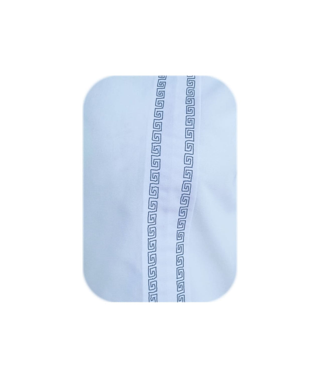 Camisa guayabera en algodon azul claro bordada sin bolsillos manga larga XS a 10XL