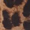 BERNIA-P LEO