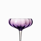 Copa marin violeta setx2