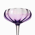 Copa marin violeta setx2