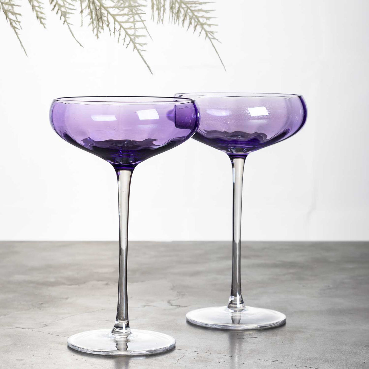 Copa marin violeta setx2