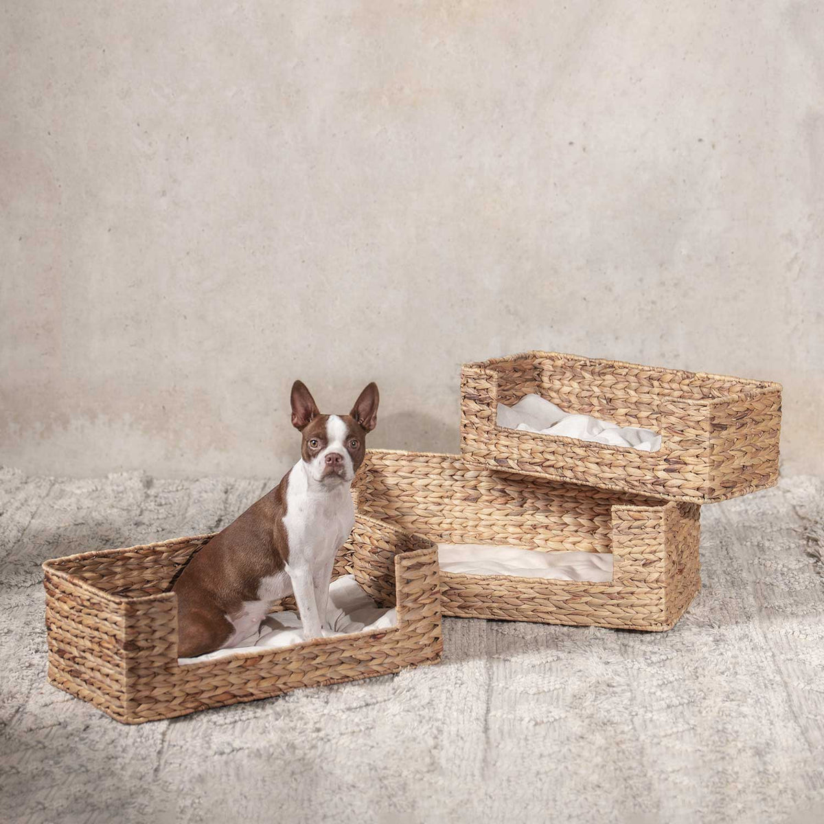 Cama para mascotas rectangular en jacinto de agua l 70x36x24cm