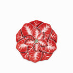 Plato Poinsettia 20 cm