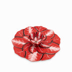Chip and dip Poinsettia