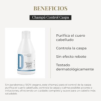 SALERM SHAMPOO CONTROL CASPA 300ML