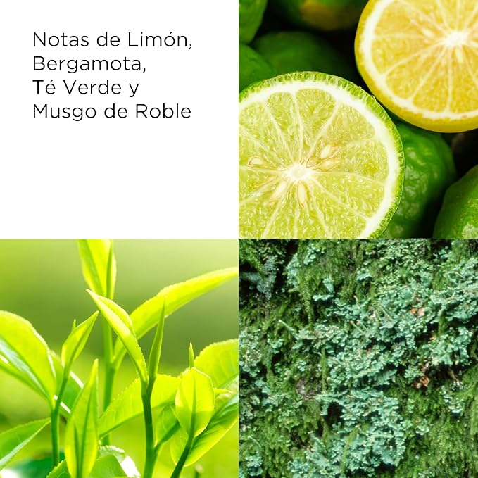 EA Green Tea EDP 50 Ml