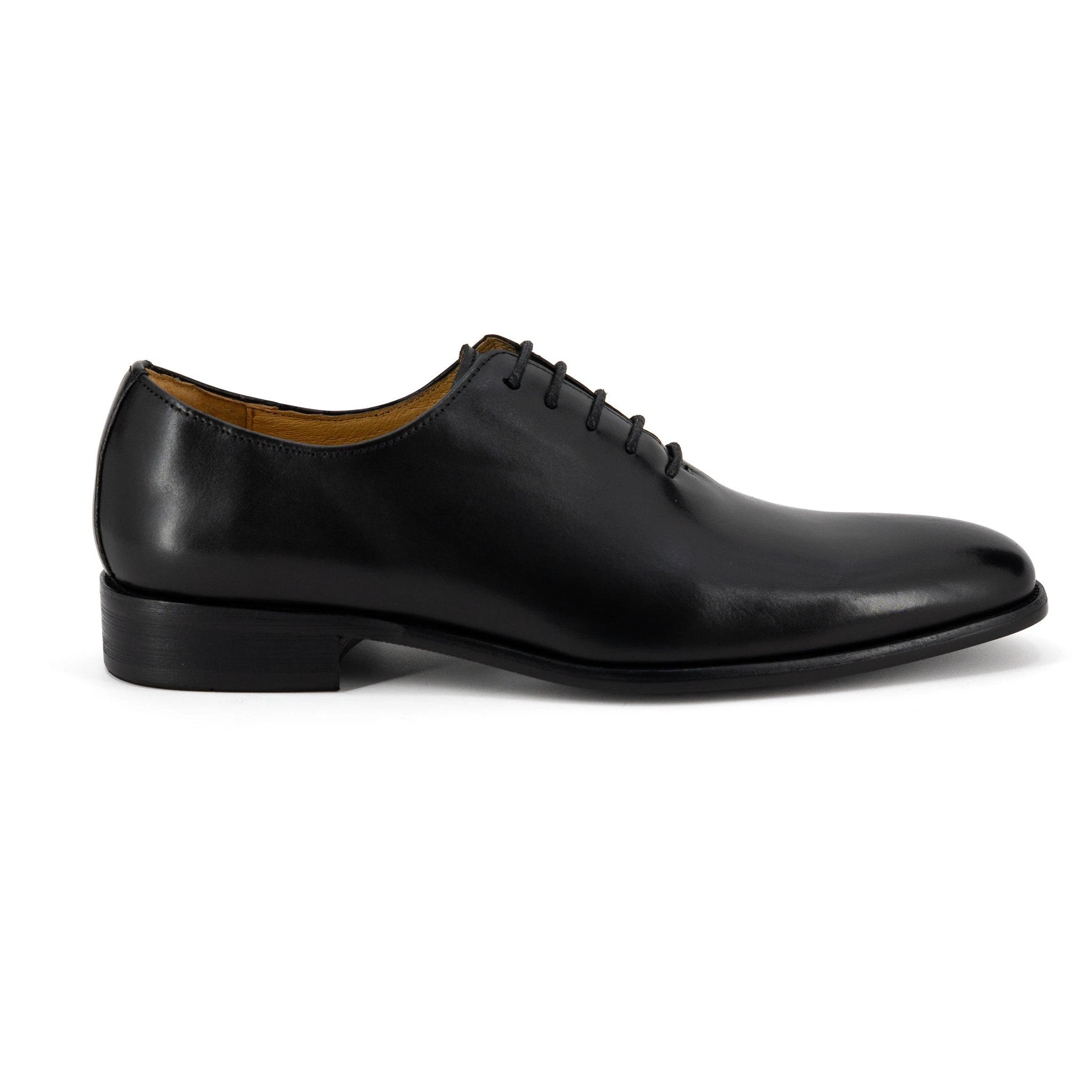 Zapatos Focus Empire P/ Caballeros D201-R19 by Focus