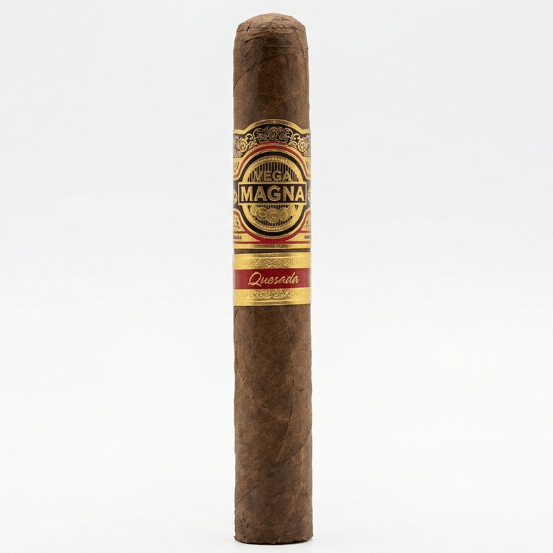 Vega Magna Robusto de 10