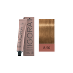IGORA ROYAL ABSOLUTES 8-50 60ML