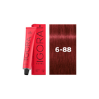 IGORA ROYAL 6-88 60ML