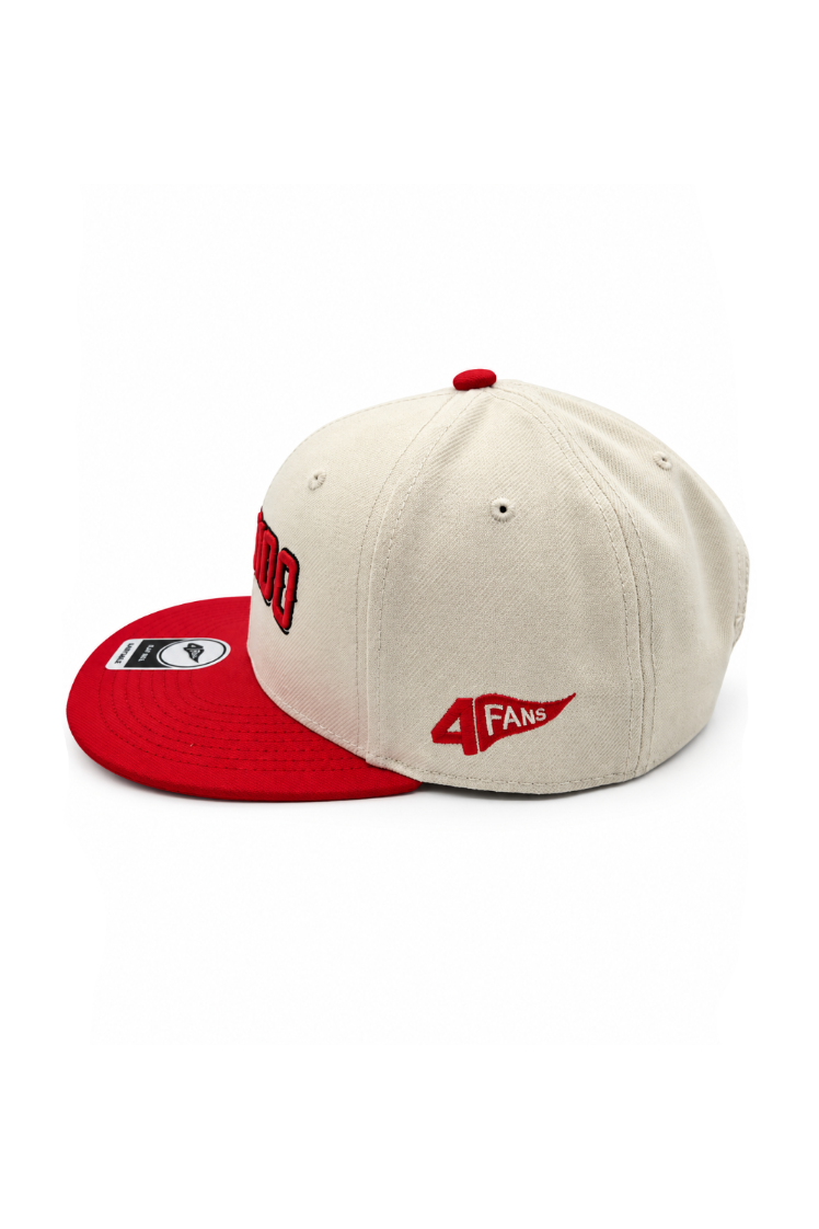 Gorra Leones del Escogido FLAT BILL AJUSTABLE