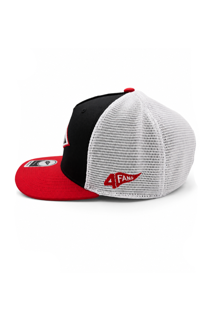 Gorra Leones del Escogido TRUCKER