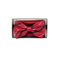 Corbatin Charles's Wain Con Pañuelo P/ Caballeros PMTH2900RAYA by Charles's Wain