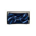 Corbatin Charles's Wain Con Pañuelo P/ Caballeros PMTH2905RAYA by Charles's Wain