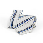 corbata-charles-s-wain-con-panuelo-p-caballeros