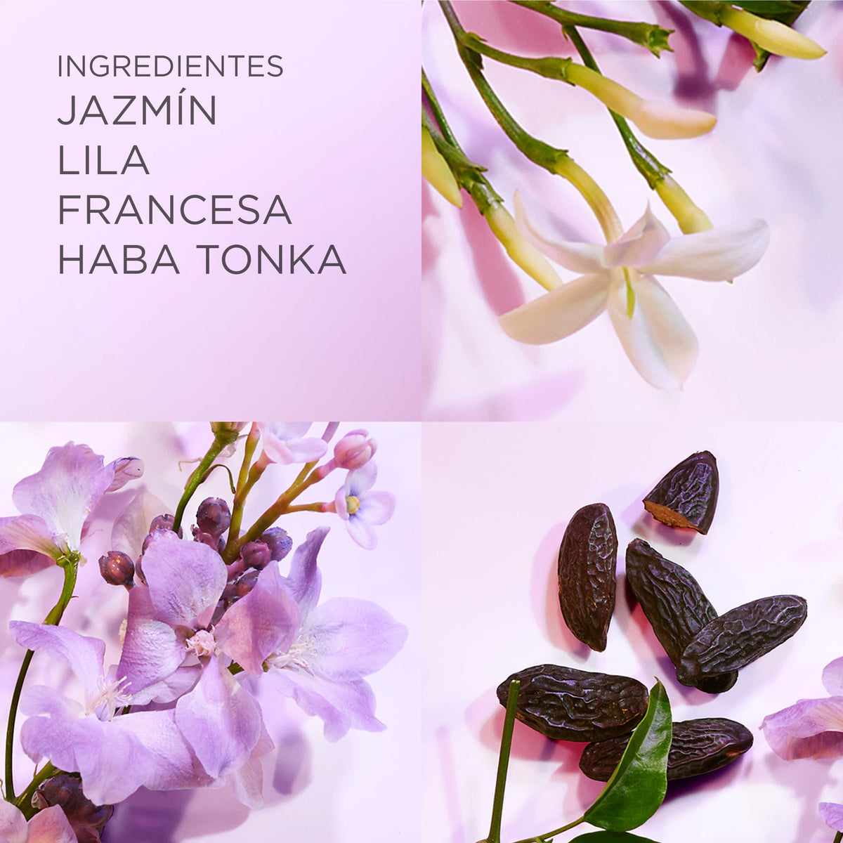 EA White Tea Lilac EDT 100ml