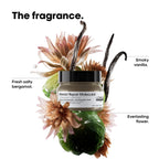 LOREAL ABSOLUT REPAIR MOLECULAR MASQUE 250ML