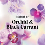 Olay Body Wash Orchid Black 22 oz