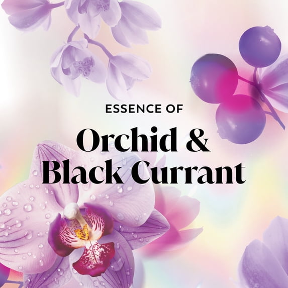 Olay Body Wash Orchid Black 22 oz