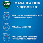 Vick Vaporub 100 g