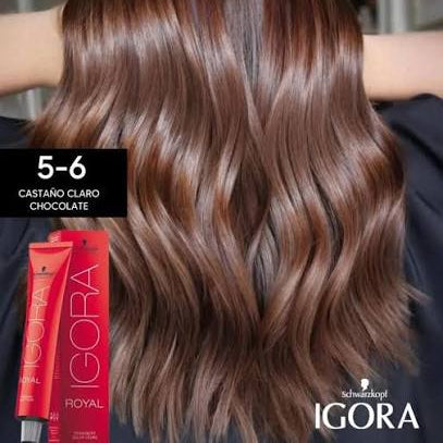 IGORA  ROYAL 5-6 60ml