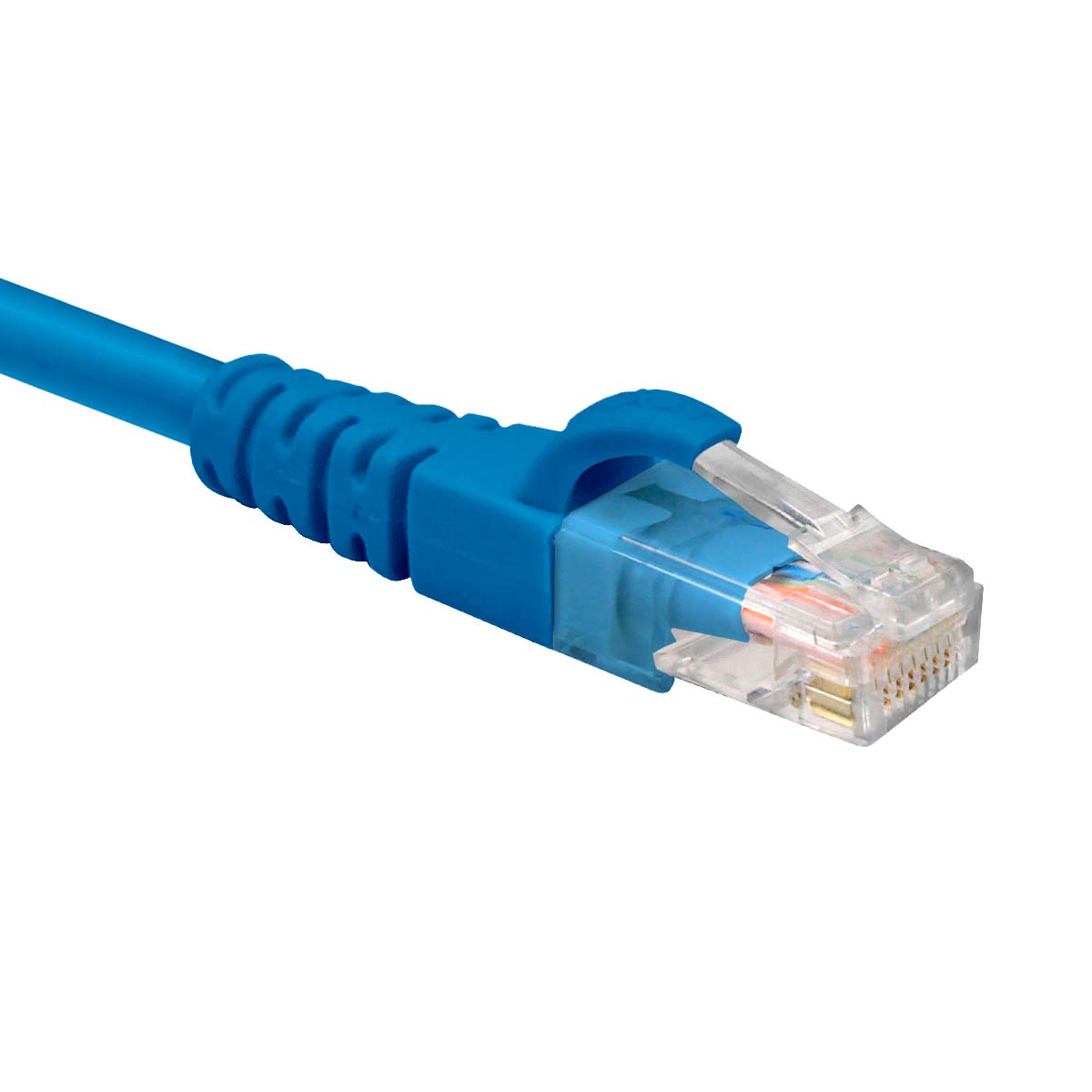 PATCH CORD NETSYS 100FT CAT6 BLUE