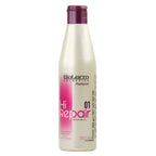SALERM HAIR REPAIR 01 SHAMPOO 250ML